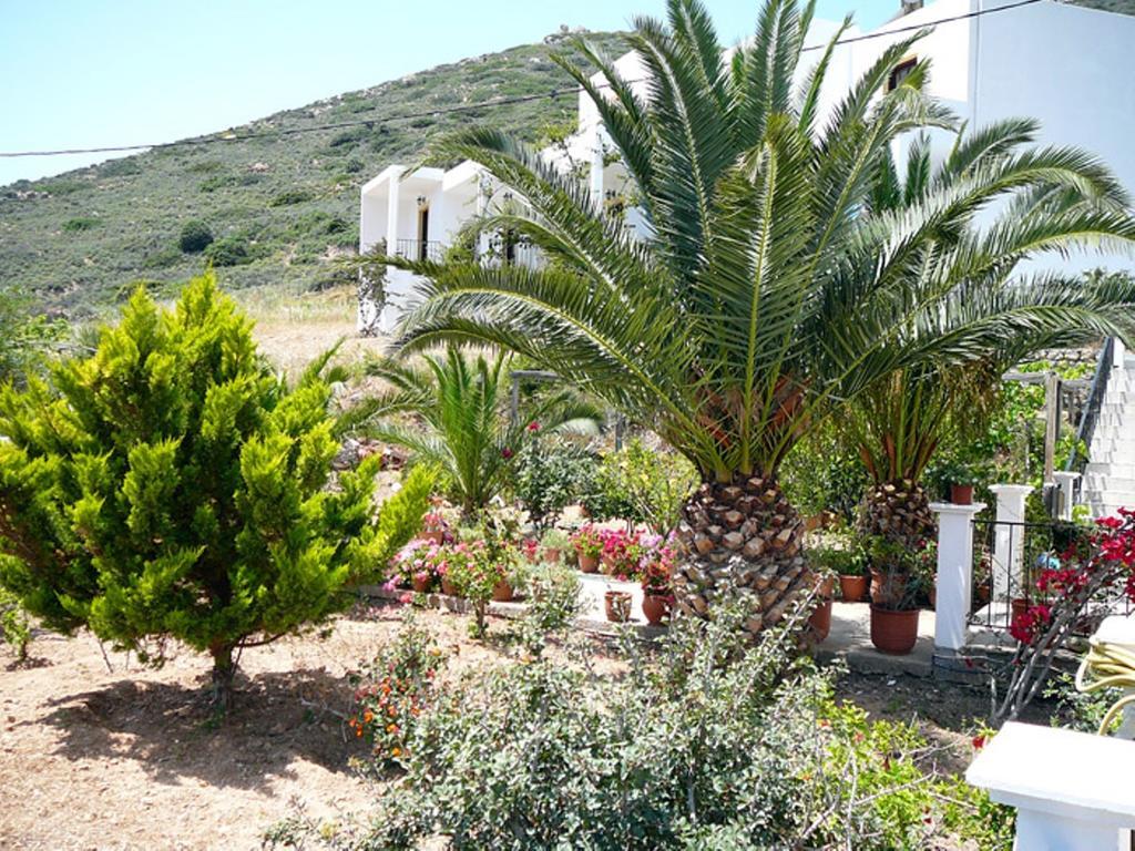 Hotel Porto Potha Telendos Bagian luar foto